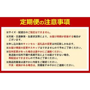 ふるさと納税 果物類 みかん 和歌山県 有田川...の詳細画像3