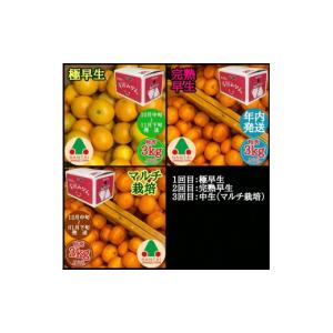 ふるさと納税 果物類 みかん 和歌山県 有田川...の詳細画像4