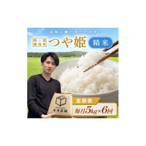 ふるさと納税 米 つや姫 山形県 酒田市 10...の詳細画像1