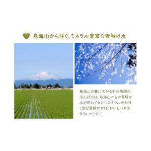 ふるさと納税 米 つや姫 山形県 酒田市 10...の詳細画像4