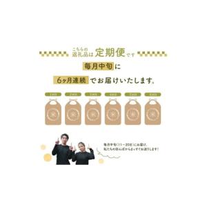 ふるさと納税 無洗米 山形県 酒田市 10月中...の詳細画像2