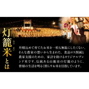 ふるさと納税 米 熊本県 山鹿市 先行予約 無...の詳細画像2