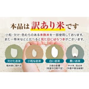 ふるさと納税 米 熊本県 山鹿市 先行予約 無...の詳細画像5