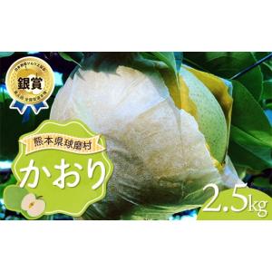 ふるさと納税 梨 熊本県 球磨村 FKP9-719 かおり 2.5kg（3〜4玉） 梨 果物 フルーツ 特産品