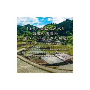 ふるさと納税 梨 熊本県 球磨村 FKP9-7...の詳細画像4