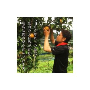 ふるさと納税 梨 熊本県 球磨村 FKP9-7...の詳細画像5