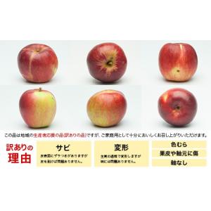 ふるさと納税 りんご 山形県 西川町 2026...の詳細画像2