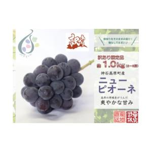 ふるさと納税 果物類 ぶどう 広島県 神石高原町 令和8年発送分 ／ 先行予約 訳ありピオーネ　約1.0kg　神石高原町産〈ご家庭用〉 みずもとや（田邉）