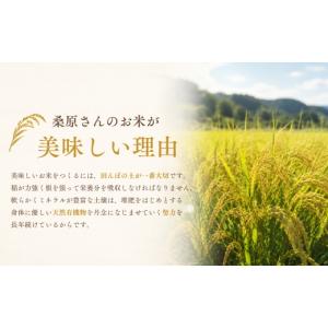 ふるさと納税 米 コシヒカリ 新潟県 津南町 ...の詳細画像2