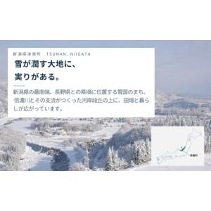 ふるさと納税 米 コシヒカリ 新潟県 津南町 ...の詳細画像4