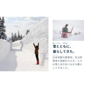 ふるさと納税 米 コシヒカリ 新潟県 津南町 ...の詳細画像5