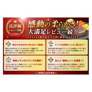 ふるさと納税 牛肉 ヒレ 佐賀県 神埼市 スピ...の詳細画像2