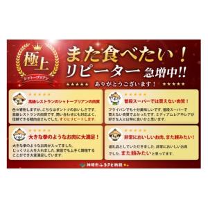 ふるさと納税 牛肉 ヒレ 佐賀県 神埼市 スピ...の詳細画像3