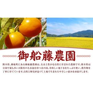 ふるさと納税 菓子 熊本県 御船町 先行予約 ...の詳細画像2