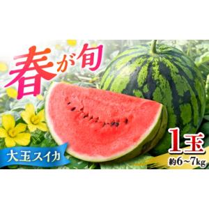 ふるさと納税 スイカ 熊本県 山鹿市 先行予約 春の大玉スイカ 約6〜7kg（L） すいか 大玉 フルーツ 野菜 果物 山鹿市 山下農園 ZGA002