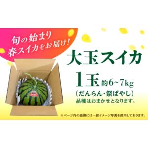 ふるさと納税 スイカ 熊本県 山鹿市 先行予約...の詳細画像2