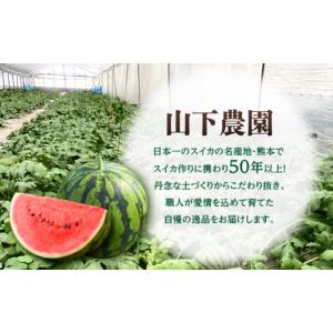 ふるさと納税 スイカ 熊本県 山鹿市 先行予約...の詳細画像3