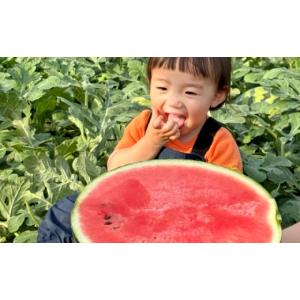 ふるさと納税 スイカ 熊本県 山鹿市 先行予約...の詳細画像5