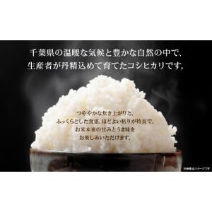 ふるさと納税 米 コシヒカリ 千葉県 多古町 ...の詳細画像2