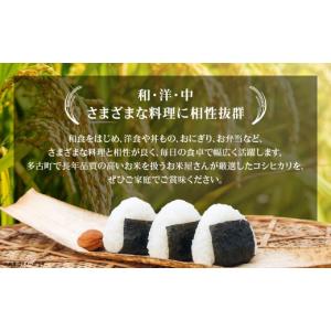 ふるさと納税 米 コシヒカリ 千葉県 多古町 ...の詳細画像3