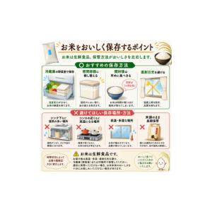 ふるさと納税 米 コシヒカリ 千葉県 多古町 ...の詳細画像4