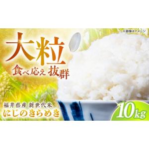 ふるさと納税 米 福井県 小浜市 先行予約/10...の商品画像
