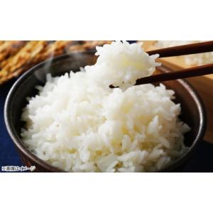 ふるさと納税 米 福井県 小浜市 先行予約/1...の詳細画像3