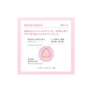 ふるさと納税 美容 神奈川県 鎌倉市 6ヶ月定...の詳細画像4