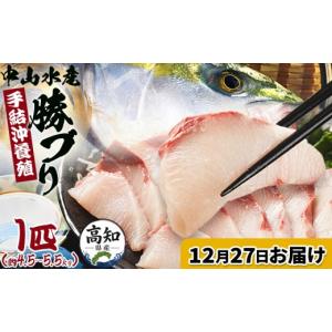 ふるさと納税 旬の鮮魚等 高知県 香南市 12月27日お届け 中山水産 手結沖養殖「勝ブリ」 1匹(4.5kg〜5.5kg) - 一尾まるごと 魚 ぶり 鰤 寒ブリ 海鮮 鮮魚 魚…