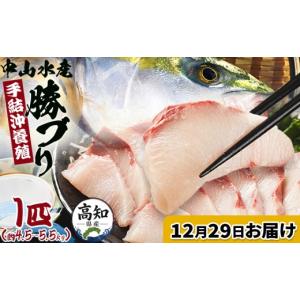 ふるさと納税 旬の鮮魚等 高知県 香南市 12月29日お届け 中山水産 手結沖養殖「勝ブリ」 1匹(4.5kg〜5.5kg) - 一尾まるごと 魚 ぶり 鰤 寒ブリ 海鮮 鮮魚 魚…