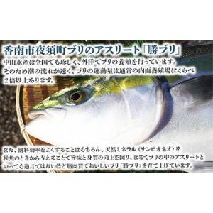 ふるさと納税 旬の鮮魚等 高知県 香南市 12...の詳細画像3