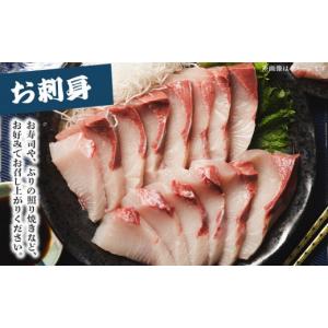 ふるさと納税 旬の鮮魚等 高知県 香南市 12...の詳細画像4