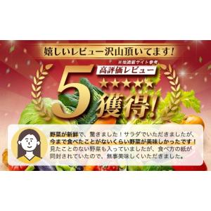 ふるさと納税 セット・詰合せ 広島県 庄原市 ...の詳細画像2