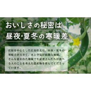 ふるさと納税 セット・詰合せ 広島県 庄原市 ...の詳細画像4