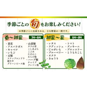 ふるさと納税 セット・詰合せ 広島県 庄原市 ...の詳細画像5