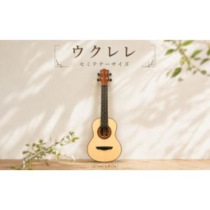ふるさと納税 雑貨・日用品 茨城県 鉾田市 ウク...の商品画像