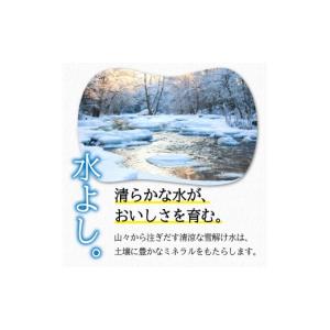 ふるさと納税 米 ひとめぼれ 岩手県 盛岡市 ...の詳細画像3