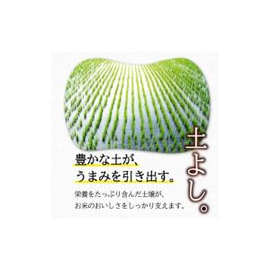 ふるさと納税 米 ひとめぼれ 岩手県 盛岡市 ...の詳細画像4