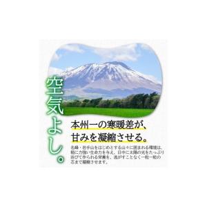 ふるさと納税 米 ひとめぼれ 岩手県 盛岡市 ...の詳細画像5