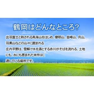 ふるさと納税 無洗米 山形県 鶴岡市 早期予約...の詳細画像4