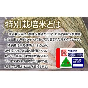 ふるさと納税 無洗米 山形県 鶴岡市 早期予約...の詳細画像5