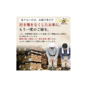 ふるさと納税 米 新潟県 上越市 最短3日配送...の詳細画像4