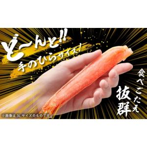ふるさと納税 カニ ずわいガニ 北海道 函館市...の詳細画像3