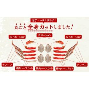 ふるさと納税 カニ ずわいガニ 北海道 函館市...の詳細画像3