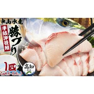 ふるさと納税 旬の鮮魚等 高知県 香南市 ブリ 鰤 1本 ［4.5〜5.5kg］ ぶりフィレ たたき ぶりしゃぶ ブリカマ ブリ 一本 鰤 - ぶり ブリ 刺し身 カマ 切り身 …