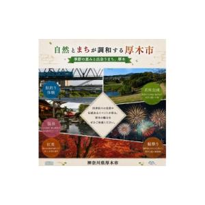 ふるさと納税 お茶類 神奈川県 厚木市 伊藤園...の詳細画像3