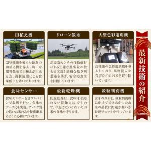 ふるさと納税 米 栃木県 大田原市 先行予約受...の詳細画像5