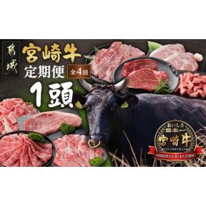 ふるさと納税 牛肉 セット 宮崎県 都城市 4...の詳細画像1
