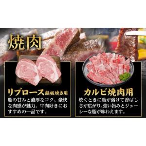 ふるさと納税 牛肉 セット 宮崎県 都城市 4...の詳細画像4