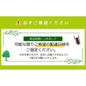 ふるさと納税 生き物 福島県 田村市 次回発送...の詳細画像5